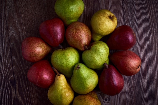 Winter Pear & Magnolia – PAWIS